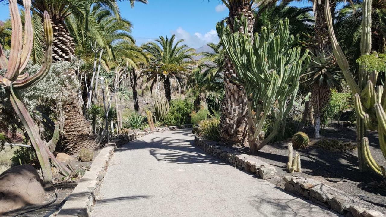Villa De Cactualdea San Nicolás Buitenkant foto