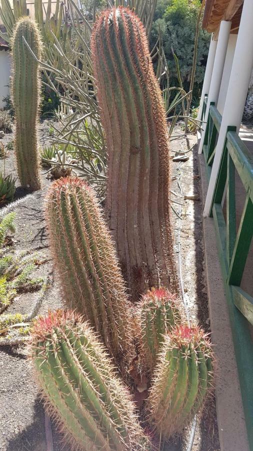 Villa De Cactualdea San Nicolás Buitenkant foto